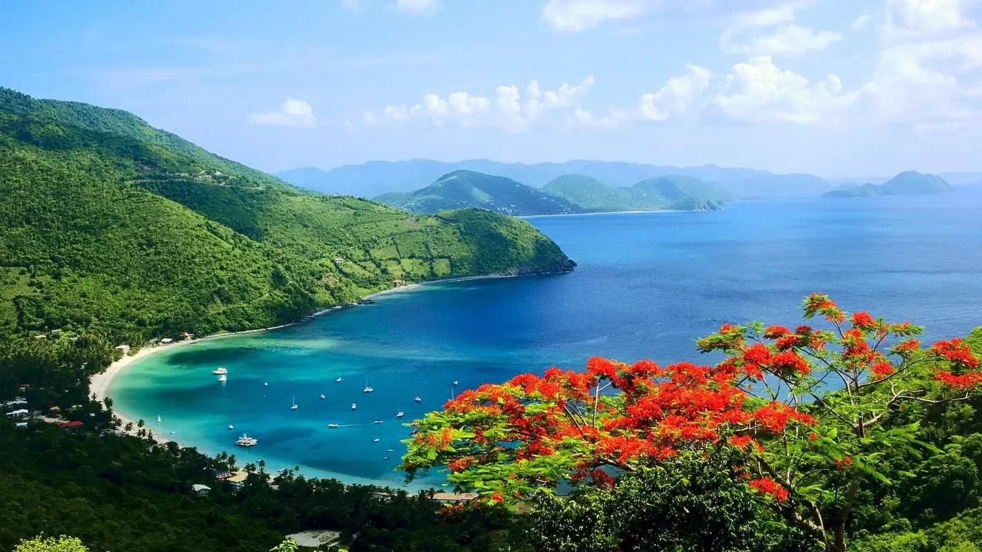 高性能高质量